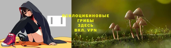 мяу мяу мука Абаза