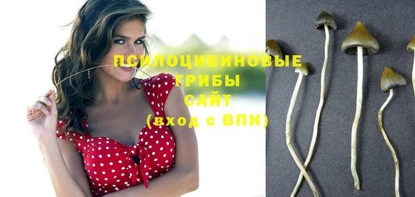 мяу мяу мука Абаза